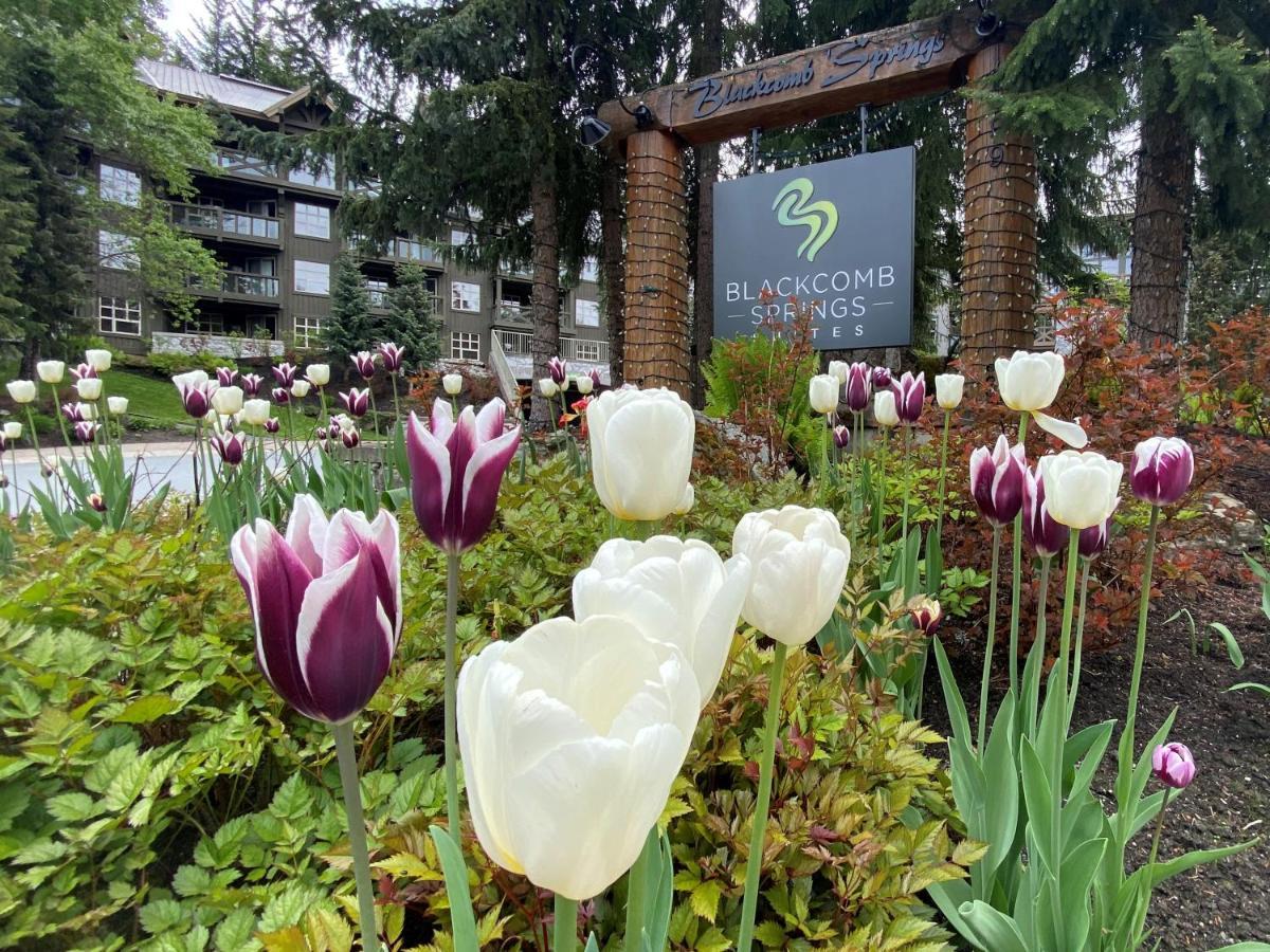 Blackcomb Springs Suites By Clique Γουίστλερ Εξωτερικό φωτογραφία